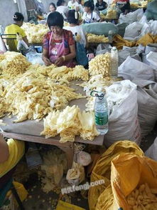 求购大连长期工厂用过一次性废旧丁晴合成乳胶手套